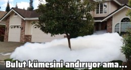 Kötü bir gün geçiriyorsanız bir de bu kareye bakın!