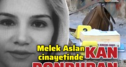 Son dakika haberler… Kardeş kurşunuyla katledilen Melek Aslan cinayetinde şoke eden detaylar!