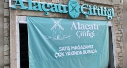 Alaçatı Mucize’si ..