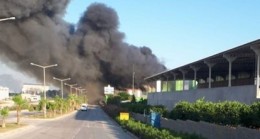 Son dakika… Adana’da nişasta fabrikasında çıkan yangına müdahale ediliyor!