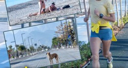 Vaka artışında rekor kıran Antalya’da sahiller turist ve köpeklere kaldı!
