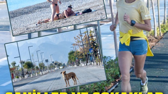 Vaka artışında rekor kıran Antalya’da sahiller turist ve köpeklere kaldı!