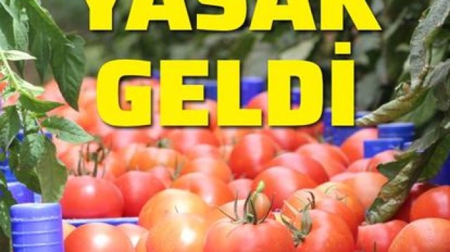 Rusya, Türkiye’den domates ve biber ithalatını yasakladı!